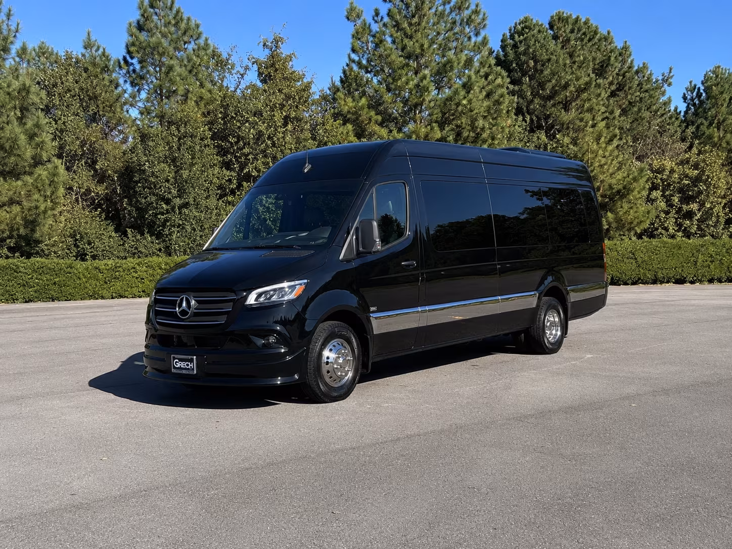 carson sprinter van with driver